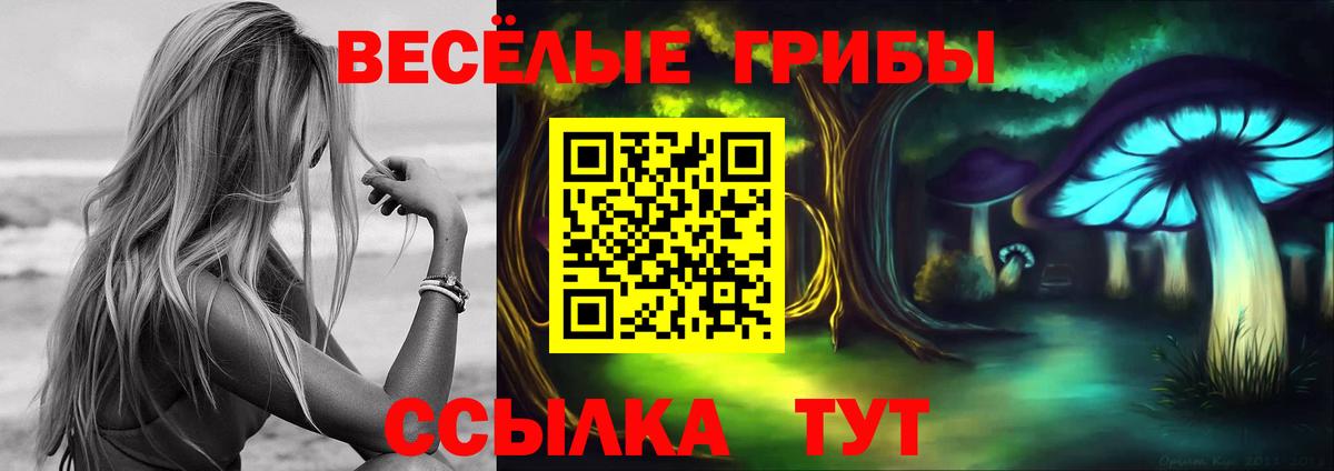 Псилоцибиновые грибы GOLDEN TEACHER  магазин продажи наркотиков  Галлюциногенные грибы MAGIC MUSHROOMS  Волжский  Вход с VPN 